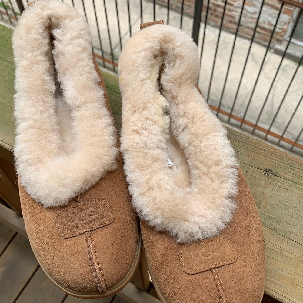 Ugg slippers! Super cute and comfy!